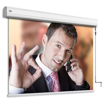 Проекционный экран Adeo screen Professional Vision White 283x212 256715 фото
