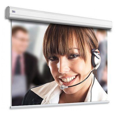 Проекционный экран Adeo Professional Vision White 283x212 257215 фото